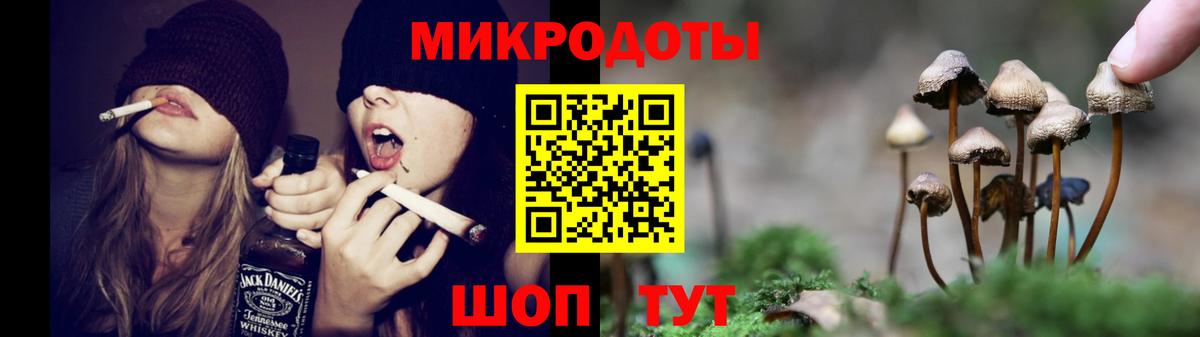 Псилоцибиновые грибы мицелий Малоярославец